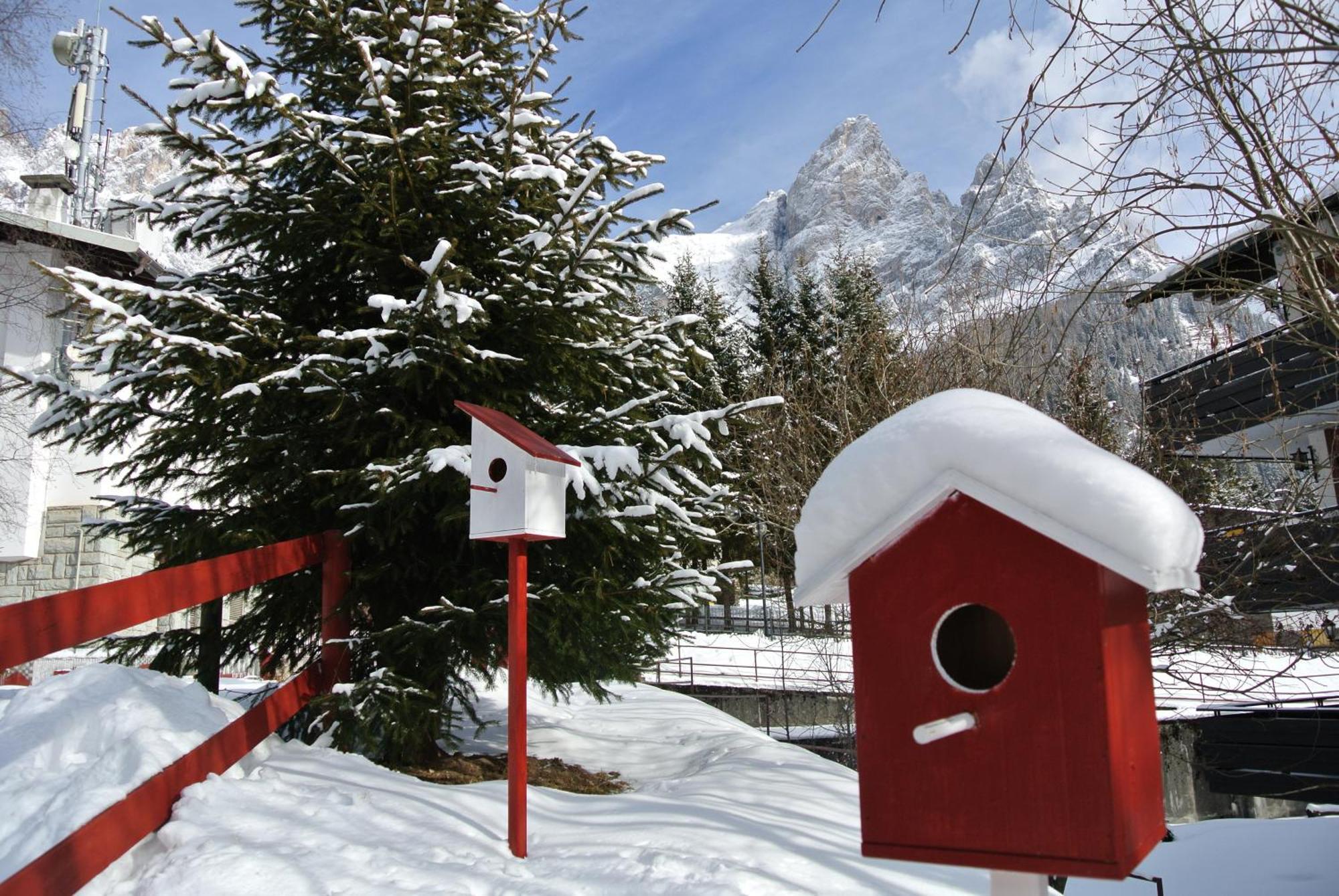 Hotel Regina San Martino Di Castrozza Exteriér fotografie